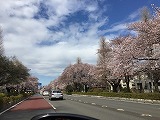 昨日は緑町住宅様で水周りセットでした。